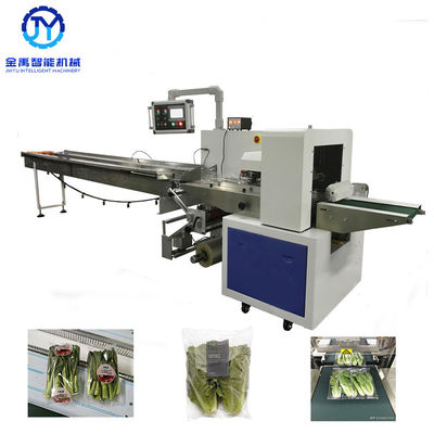 Fruit Vegetable Packing Machine 600 Model Full SS